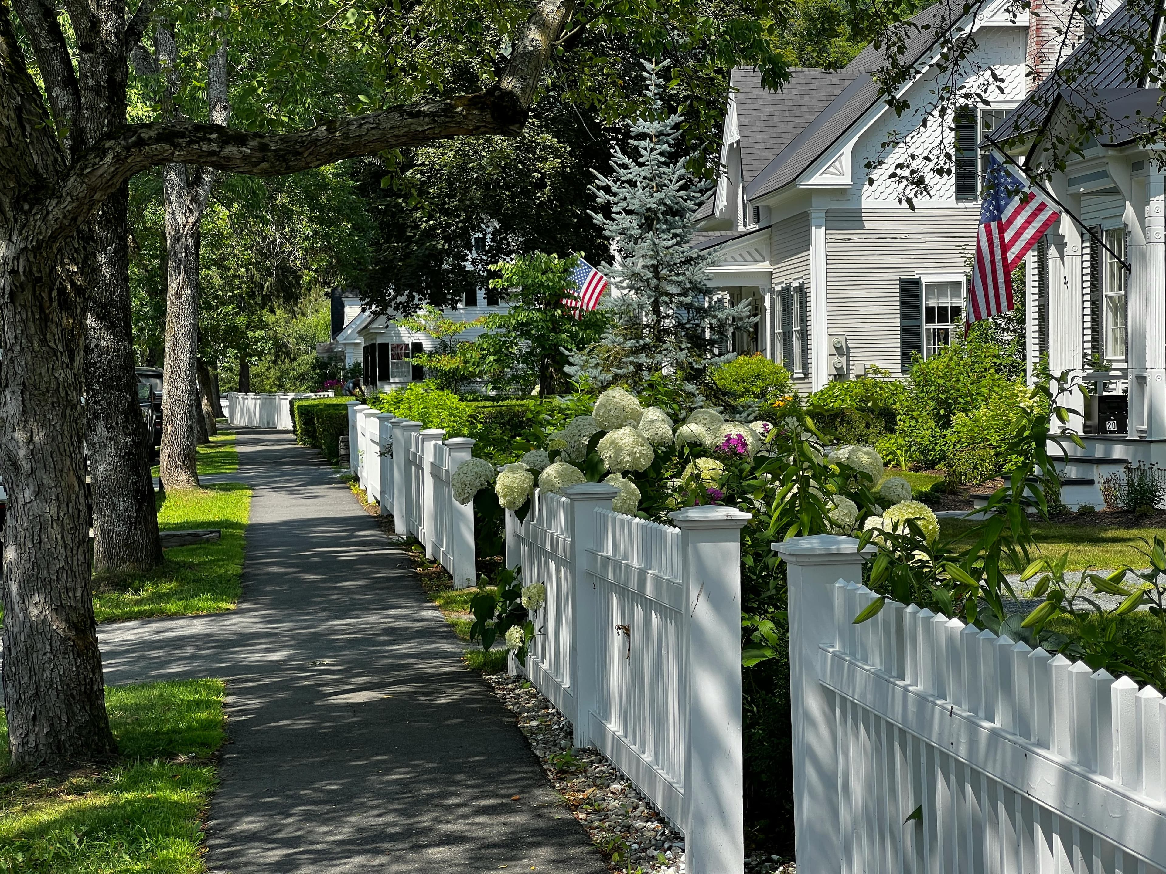 Homes in New Haven, CT